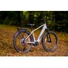 Momas Jason+ SUV 2025 - L - Grey