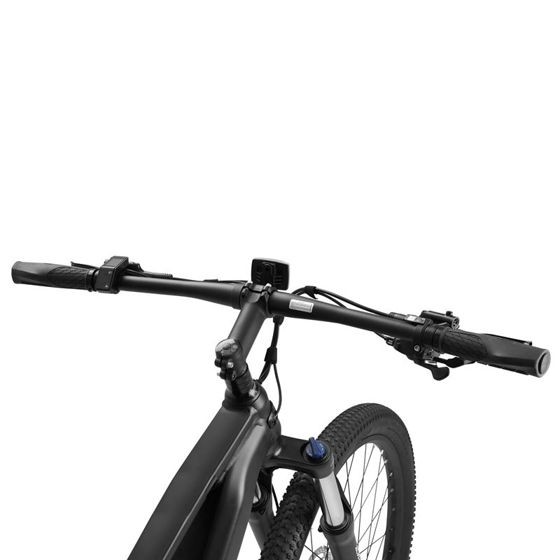 Momas Summit - L - Negro